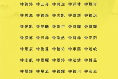 用什么字给晚上11点出生的属猴男孩取名字合适姓名