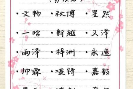 2019年6月22号卯时出生的男孩要怎么起名字姓名