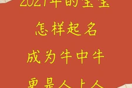 早上出生的属牛男孩的好名字有哪些姓名