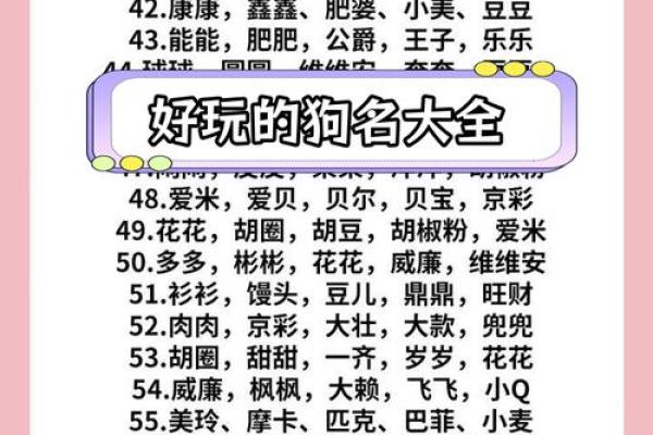 晚上7点出生的属狗男孩怎么取名,用什么字好姓名 晚上7点出生的属狗男孩怎么取名,用什么字好姓名