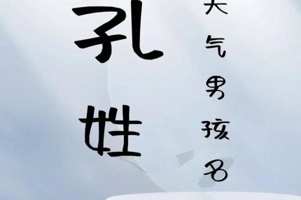 孔姓女孩名字大全-孔姓女孩起名字大全-孔姓名字大全姓名 孔姓女孩名字大全-孔姓女孩起名字大全-孔姓名字大全姓名