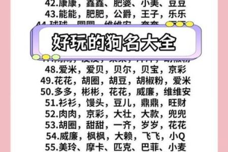 晚上7点出生的属狗男孩怎么取名，用什么字好姓名