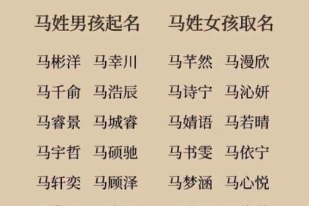 怎样给一月份出生属马的男孩取名字姓名