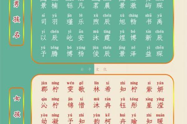 属龙辛时出生的男孩怎样起名,宜用什么字姓名 属龙辛时出生的男孩怎样起名,宜用什么字姓名