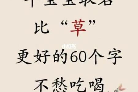 什么名字适合上午出生的属牛男孩姓名