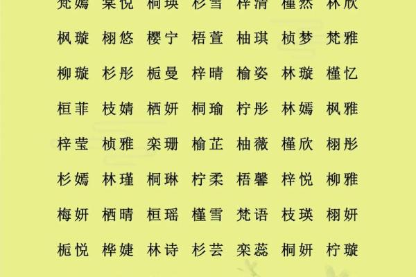 1月份出生的属猴男孩该怎么取名才好姓名 1月份出生的属猴男孩该怎么取名才好姓名