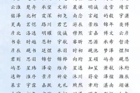 乐姓男孩名字大全-乐姓男孩起名字大全-乐姓名字大全姓名