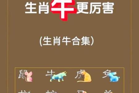 要如何给早上9点出生的属牛男孩取名字姓名