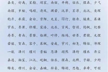 2019年3月27号酉时出生的男孩应该起什么样的名字姓名