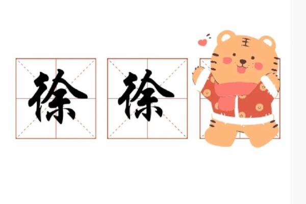 2019年出生的姓徐男孩如何起名,宜用什么字姓名 2019年出生的姓徐男孩如何起名,宜用什么字姓名