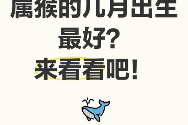 5月份出生的属猴男孩要取什么名？姓名
