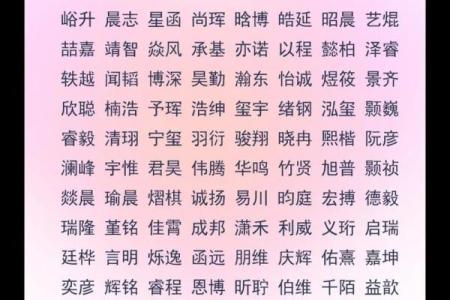 2019年3月8号子时出生的男孩要怎么起名字姓名