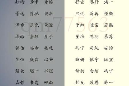 2019年3月22号巳时出生的男孩应该起什么样的名字姓名