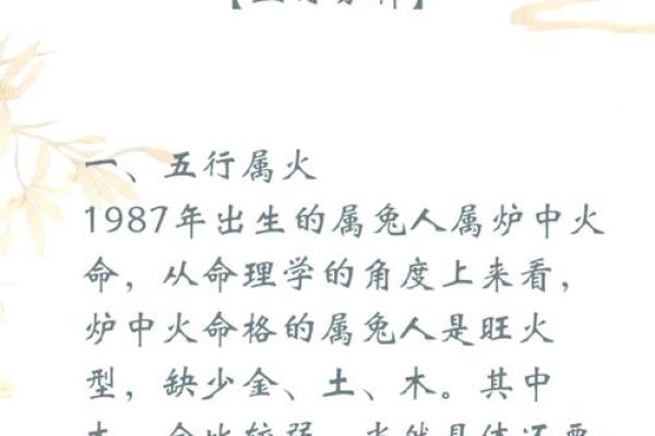 辛时出生的属兔男孩怎么取名字姓名 辛时出生的属兔男孩怎么取名字姓名