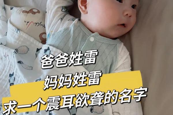 雷姓男孩名字大全-雷姓男孩起名字大全-雷姓名字大全姓名 雷姓男孩名字大全-雷姓男孩起名字大全-雷姓名字大全姓名