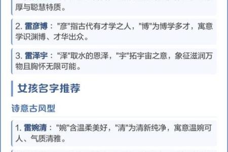 雷姓男孩名字大全-雷姓男孩起名字大全-雷姓名字大全姓名