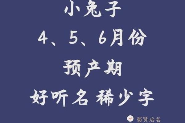 2月份出生的属兔女孩起什么名字好姓名 2月份出生的属兔女孩起什么名字好姓名