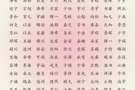 2019年3月22号未时出生的男孩应该起什么样的名字姓名