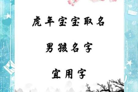11月份出生的属虎男孩要怎样取名字姓名