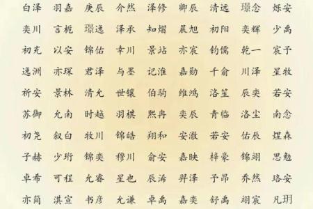 2019年3月20号寅时出生的男孩如何起名姓名