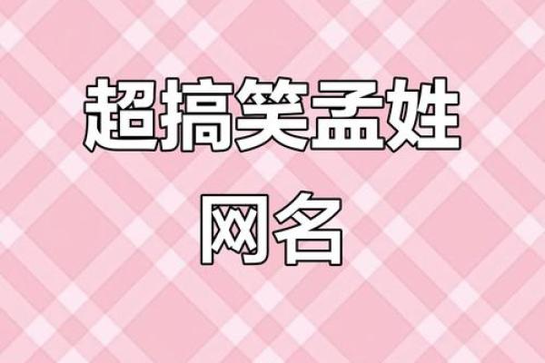 孟姓女孩名字大全-孟姓女孩起名字大全-孟姓名字大全姓名