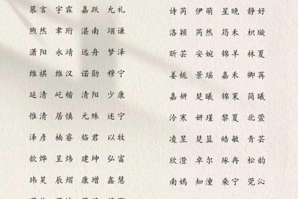 晚上9点出生的属蛇男孩该如何起名，适合用什么字姓名