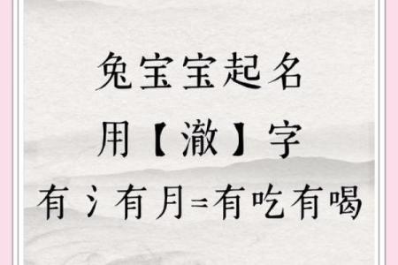 4月份出生的属兔女孩起什么名字最好姓名