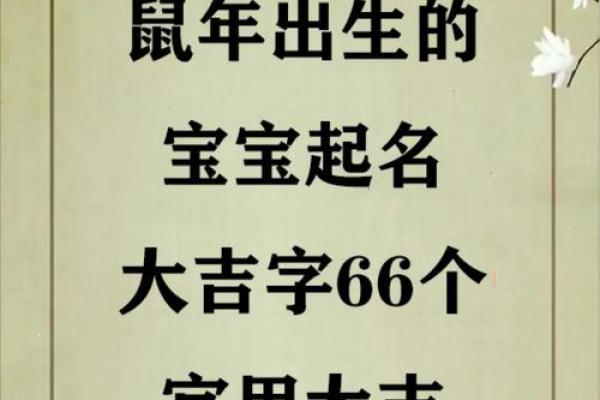 怎么给上午10点出生的属鼠男孩起名最好姓名 怎么给上午10点出生的属鼠男孩起名最好姓名
