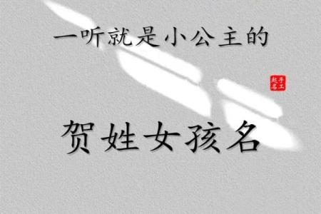 贺姓男孩名字大全-贺姓男孩起名字大全-贺姓名字大全姓名