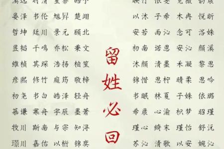 11月份出生的属鸡男孩起什么名字好姓名