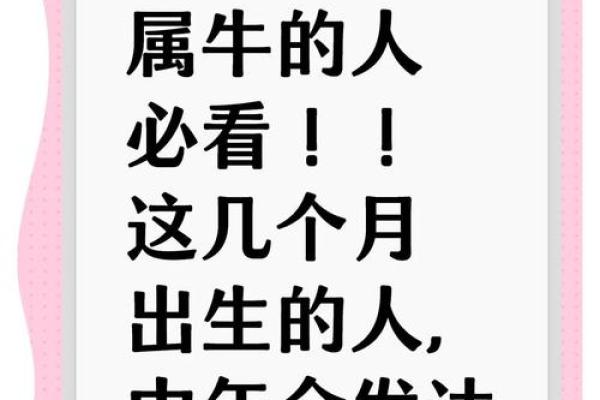 子时出生的属牛男孩如何起名姓名