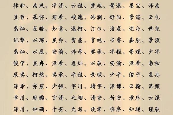 2019年3月5号出生的男孩起什么名字好，五行属什么姓名