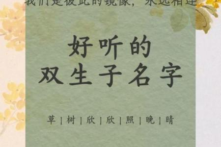 双胞胎男孩的名字和方法都有哪些-姓名学-华易网姓名