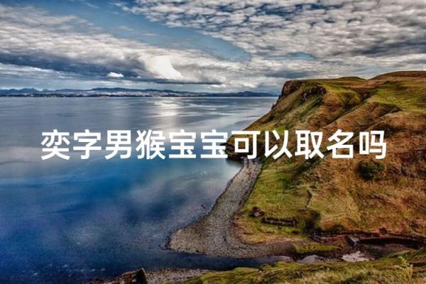 半夜出生的属猴男孩如何取名,适合什么字姓名 半夜出生的属猴男孩如何取名,适合什么字姓名