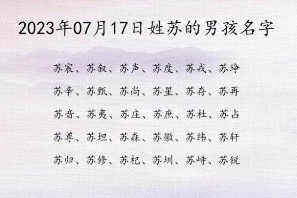 苏姓男孩名字大全-苏姓男孩起名字大全-苏姓名字大全姓名 苏姓男孩名字大全-苏姓男孩起名字大全-苏姓名字大全姓名