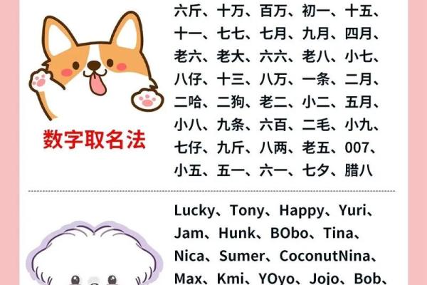 如何给2018年狗年出生的女宝宝取好听有寓意的名字？-华易网姓名