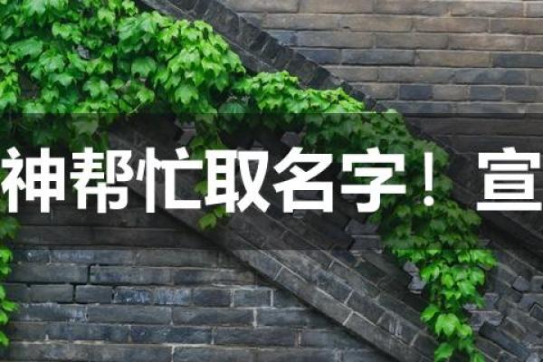 宣姓男孩名字大全-宣姓男孩起名字大全-宣姓名字大全姓名