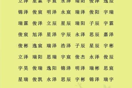 如何给属狗酉时出生的男孩起名，宜用哪些字姓名