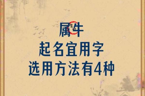 下午出生的属牛男孩起什么名字比较合适姓名