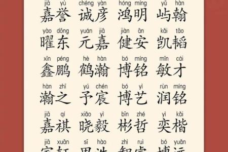 2019年6月13号卯时出生的男孩应该起什么样的名字姓名