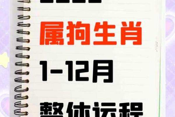 晚上八点出生的属狗男孩如何取名,宜用什么字姓名 晚上八点出生的属狗男孩如何取名,宜用什么字姓名