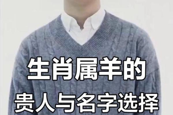 凌晨4点出生的属羊男孩取什么名，适合什么字姓名