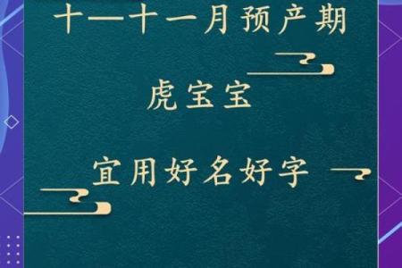 9月份出生的属虎男孩如何取名字姓名