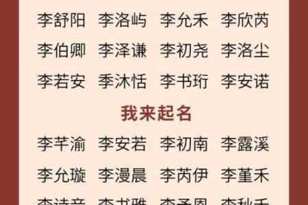 2019年5月22号卯时出生的男孩应该起什么样的名字姓名