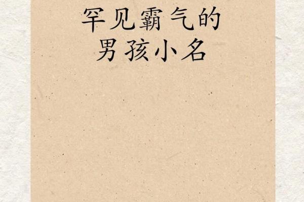 2019年4月24号寅时出生的男孩应该起什么样的名字姓名