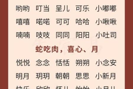 晚上12点出生的属蛇男孩怎样起名，宜用什么字姓名