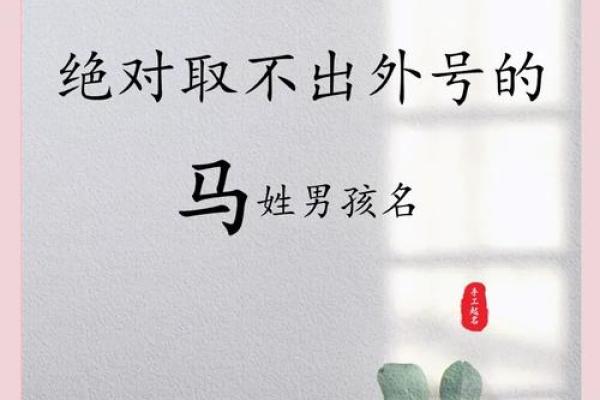 姓马的名人-名人大全-姓名学-华易算命网姓名 姓马的名人-名人大全-姓名学-华易算命网姓名