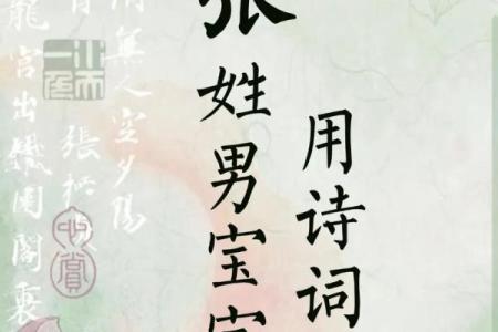 2019年3月23号亥时出生的男孩如何起名姓名