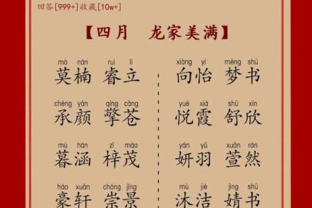 属龙巳时出生的男孩怎么取名，适合用什么字姓名