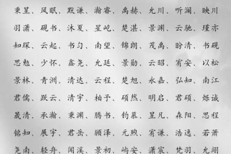 丁姓男孩名字大全-丁姓男孩起名字大全-丁姓名字大全姓名